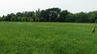 Farming 1 3 Farming 1 3